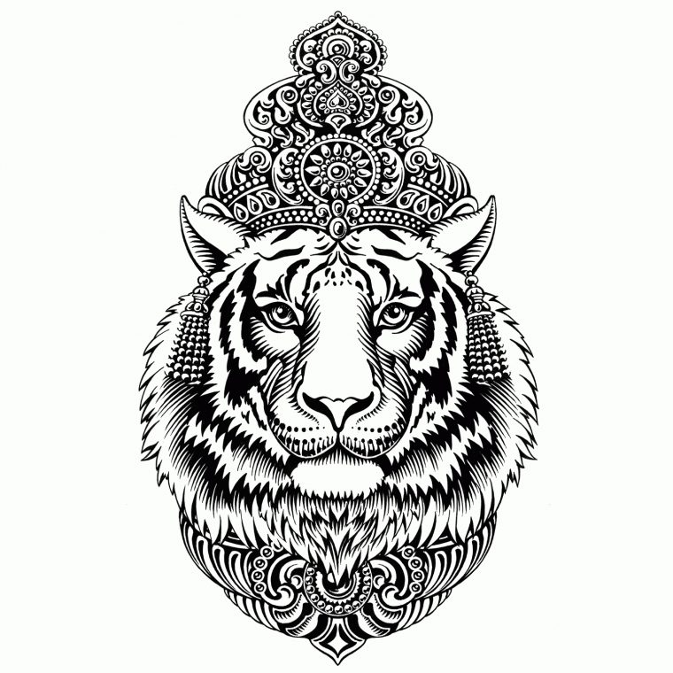 Tigre Indien – Amelie Claire Illustration Traditionnelle pour Mandalas De Tigres