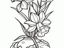 Trace Flowers - Google Search (Con Imágenes) | Bordado serapportantà Dessin De Rose A Imprimer