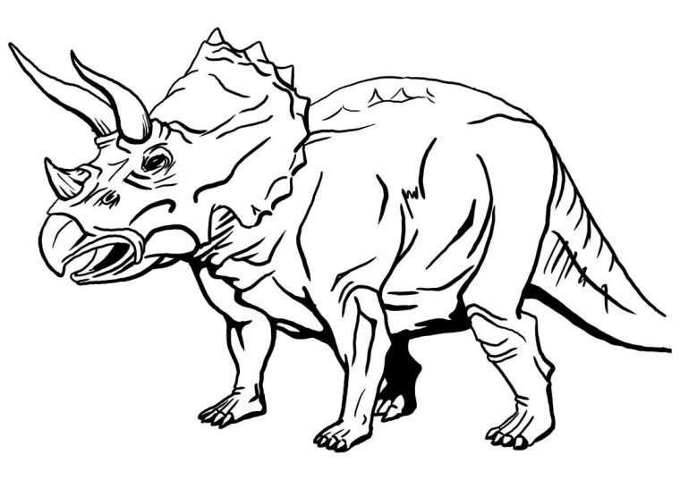 Triceratops Para Colorear – Imagui intérieur Coloriage Dinosaure Raptor