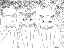 Trois Petits Chats Par Miwah | Animaux - Coloriages avec Dessin De Chat Simple