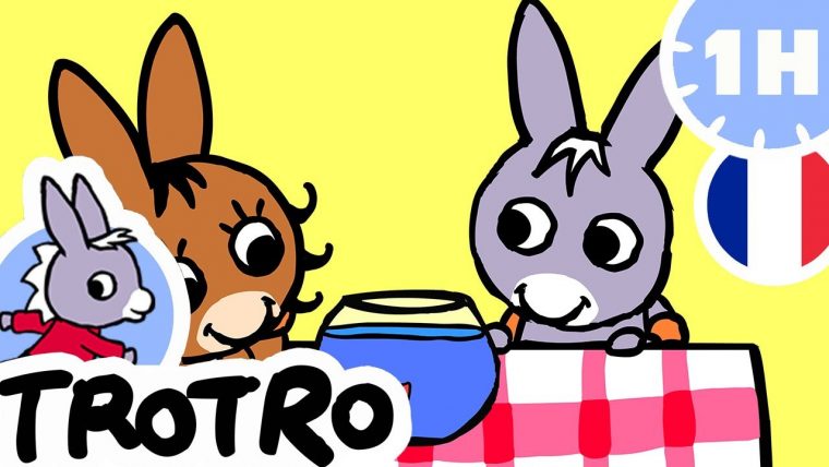 Trotro – Trotro Chut Trotro | Dessin Animé | Hd |2020 intérieur Trotro Dessin Anim?