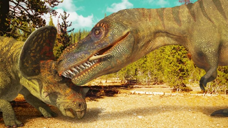 Tyrannosaure Vs Tricératops (Dinosaures) – Zapping Sauvage concernant Dinosaure Tyrex
