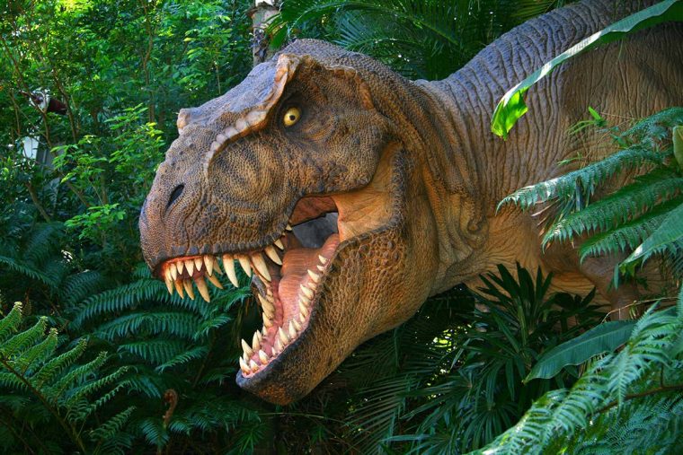 Tyrannosaurus Rex Might Have Accidentally Helped Fruit concernant Dinosaure Tyrex