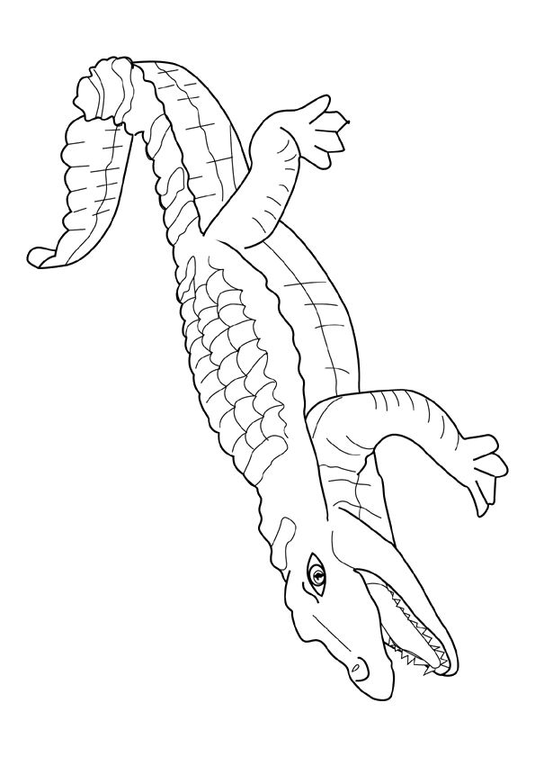 Un Crocodile Malin, À Colorier | Crocodile, Drawings concernant Crocodile À Colorier