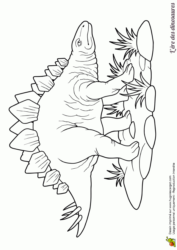 Un Dinosaure Stégosaure Dans Un Dessin À Colorier intérieur Dinausore Coloriage
