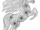 Unicorn On Its Two Back Legs - Unicorns Adult Coloring Pages encequiconcerne Coloriag