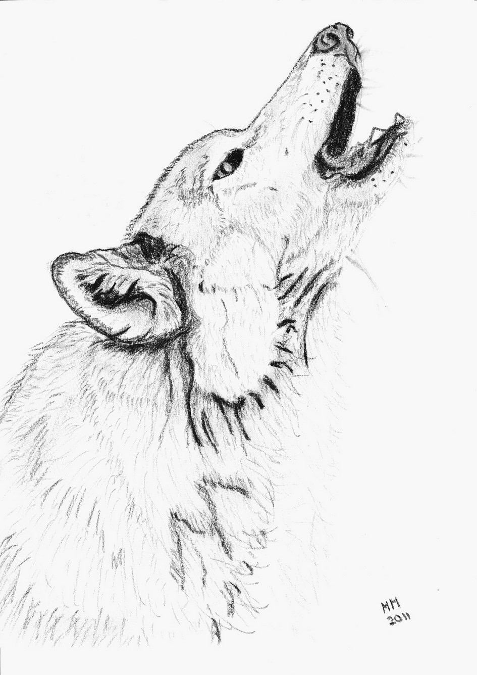 Unique Coloriage Tete De Loup A Imprimer | Haut Coloriage encequiconcerne Loup Dessin Facile