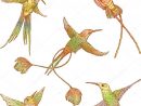 Vol D'Oiseaux Tropicaux — Image Vectorielle Mubaister avec Coloriage Oiseaux Tropicaux