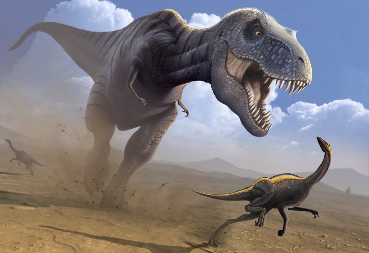 Wallpaper Tyrannosaurus, Ornithomimus, Dinosaur, Art, Art concernant Dinosaure Tyrex