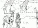 Zoo Animals Coloring Pages - Best Coloring Pages For Kids tout Coloriage De Zoo
