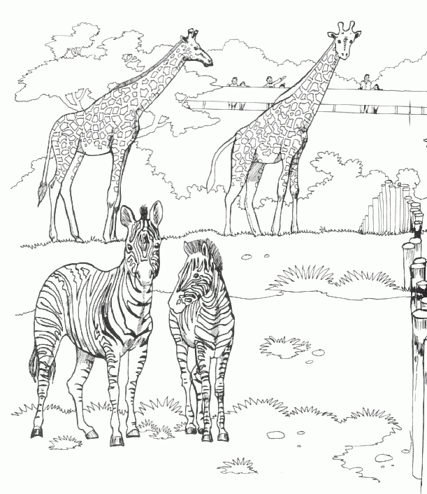 Zoo Animals Coloring Pages - Best Coloring Pages For Kids tout Coloriage De Zoo