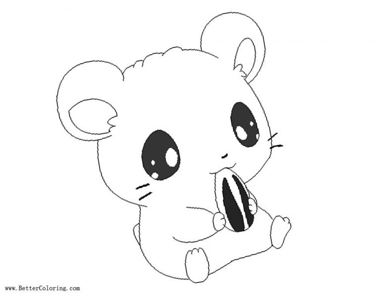 realistic hamster coloring pages