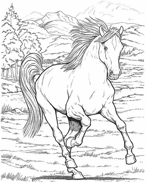 coloriages chevaux
