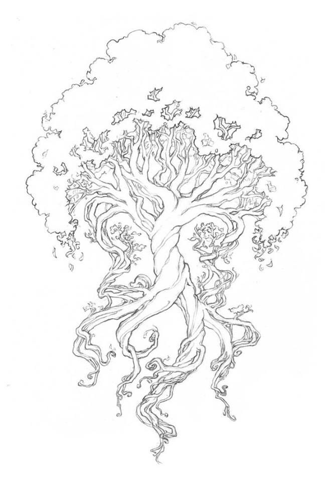 tree of life coloring pages for adults tree of life coloring pages for adults