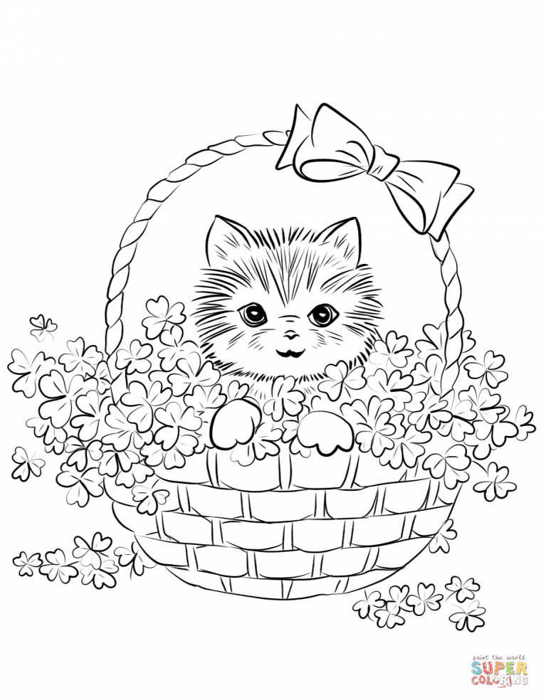 cute realistic kitten coloring pages cute realistic kitten coloring pages