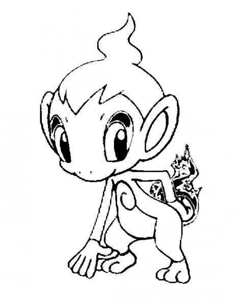 chimchar coloring page chimchar coloring page