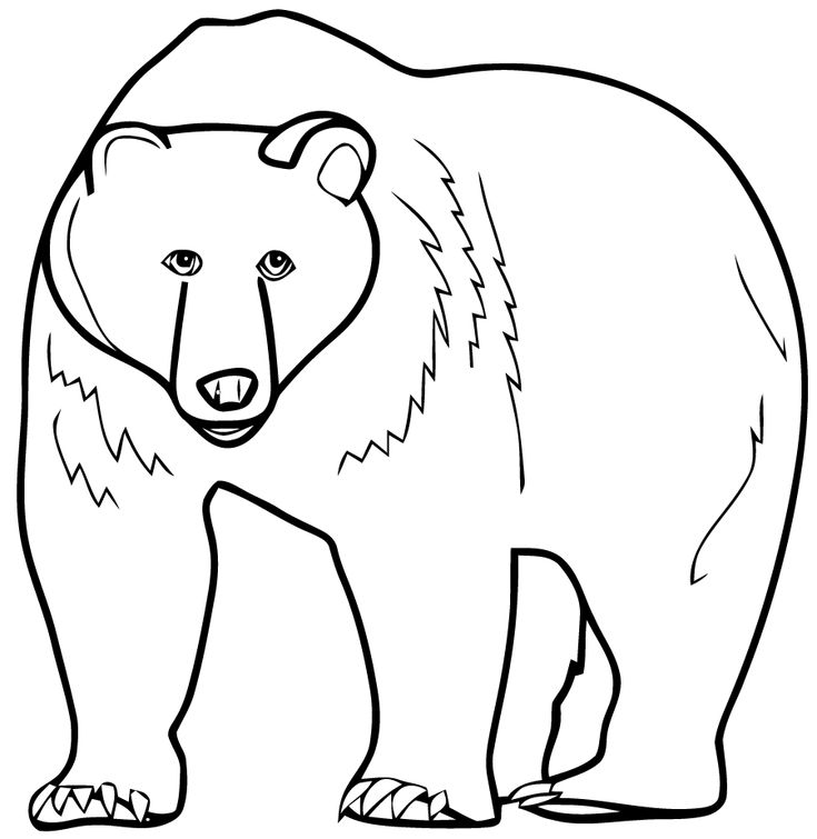 bear coloring pages preschool bear coloring pages preschool