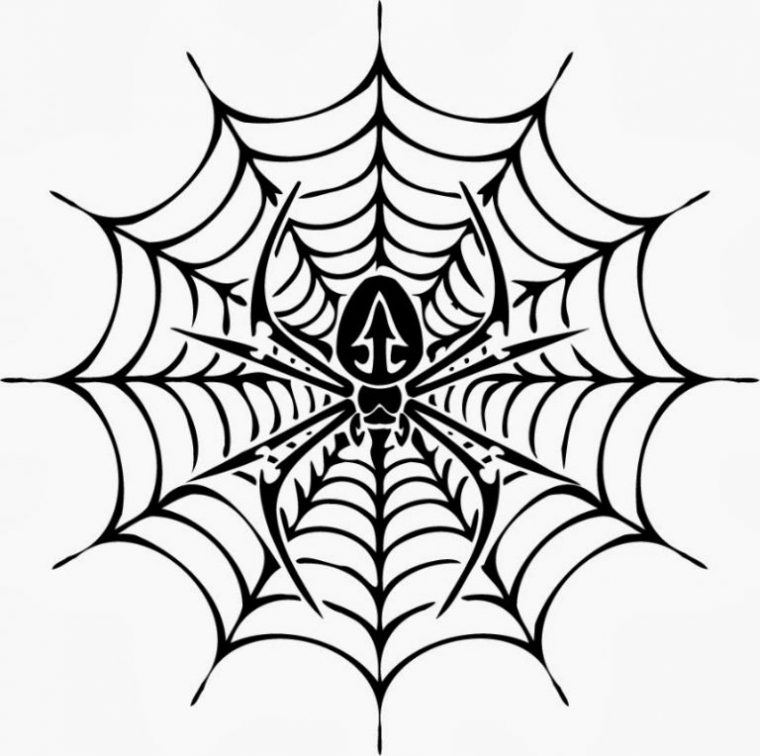 spider web coloring pages