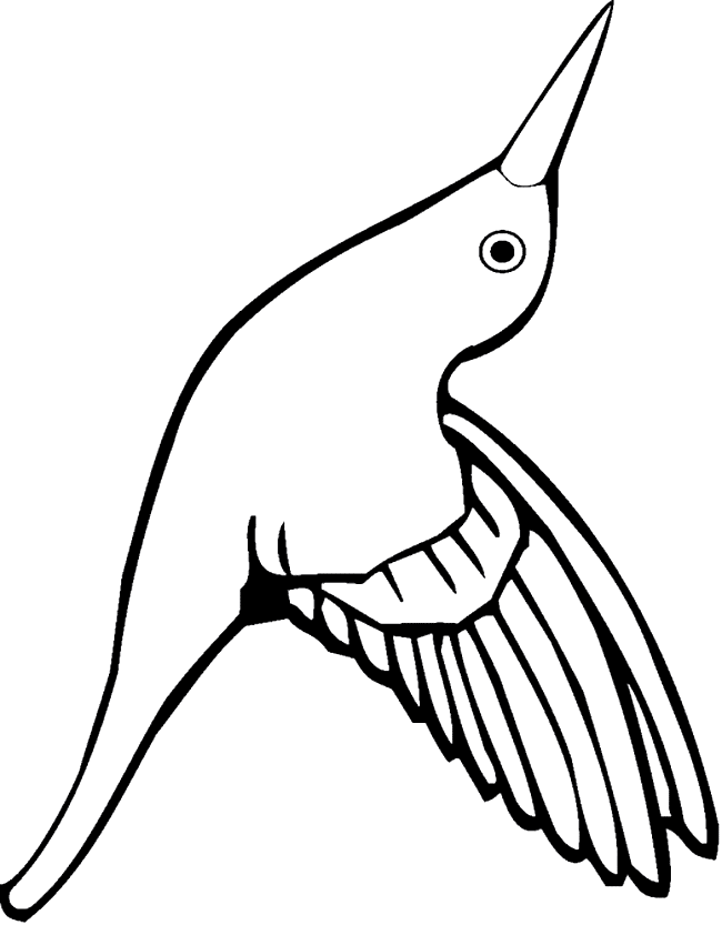 hummingbird coloring pages finished hummingbird coloring pages finished