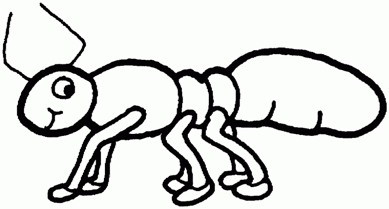 ants coloring pages ants coloring pages