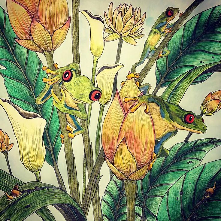 mythographic coloring pages mythographic coloring pages