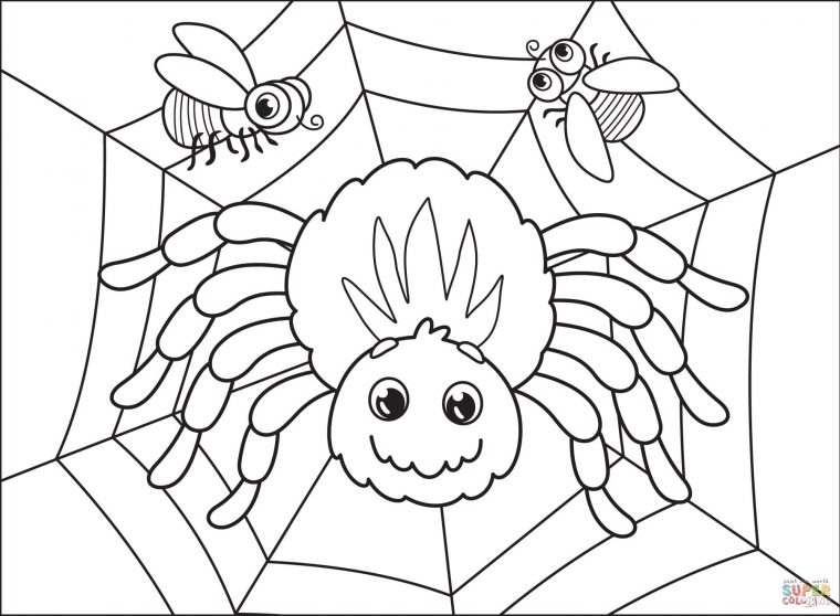coloring pages spider coloring pages spider