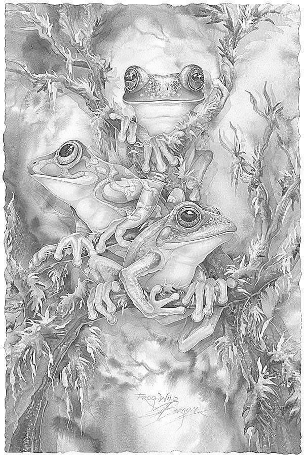 finished coloring pages for adults finished coloring pages for adults