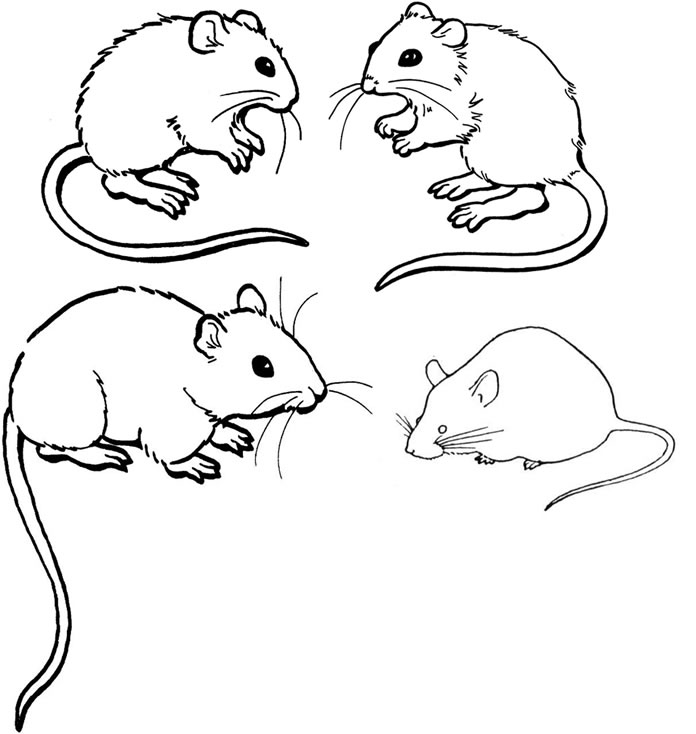 abc mouse coloring pages abc mouse coloring pages