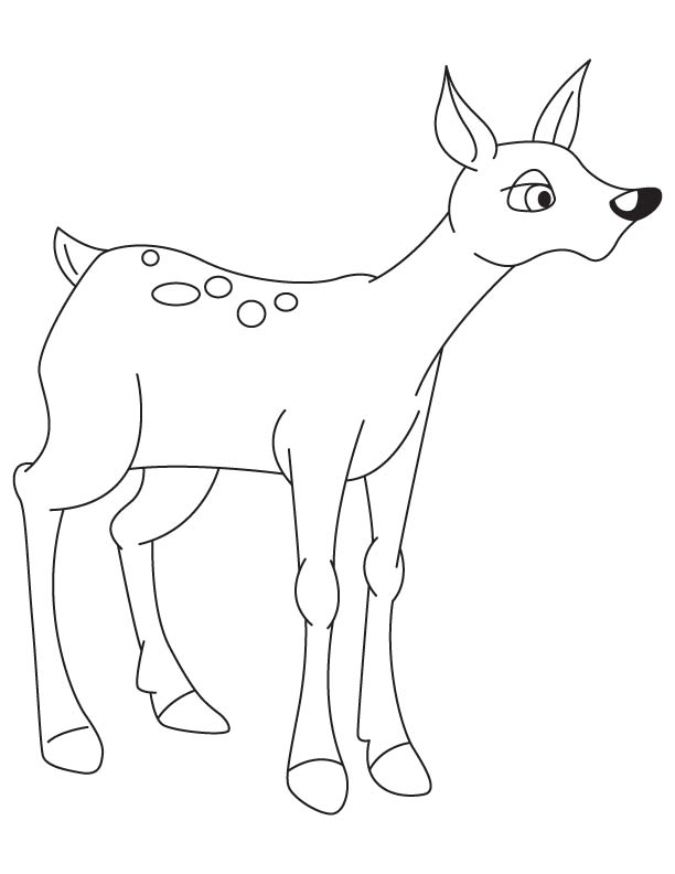 fawn coloring pages fawn coloring pages