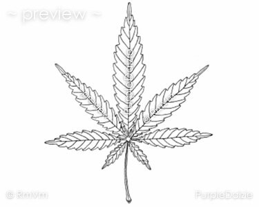 weed coloring pages printable weed coloring pages printable