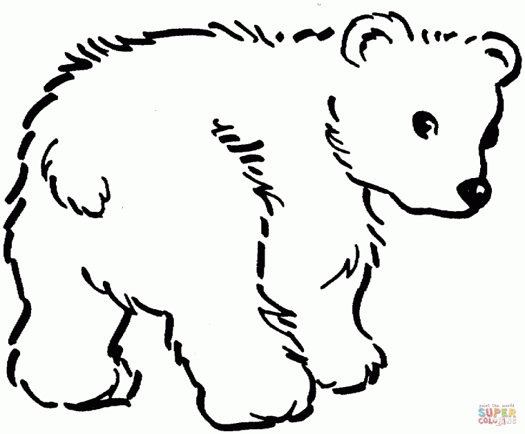 brown bear brown bear coloring page brown bear brown bear coloring page