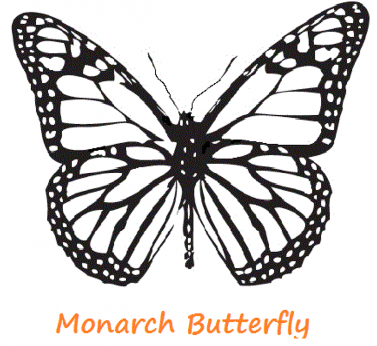 monarch coloring pages monarch coloring pages