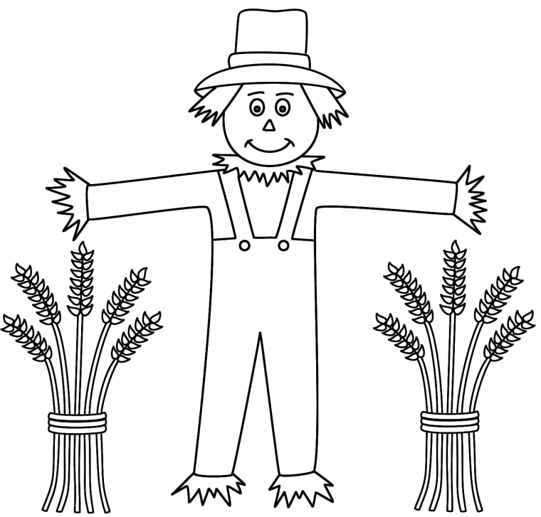 wheat coloring page wheat coloring page