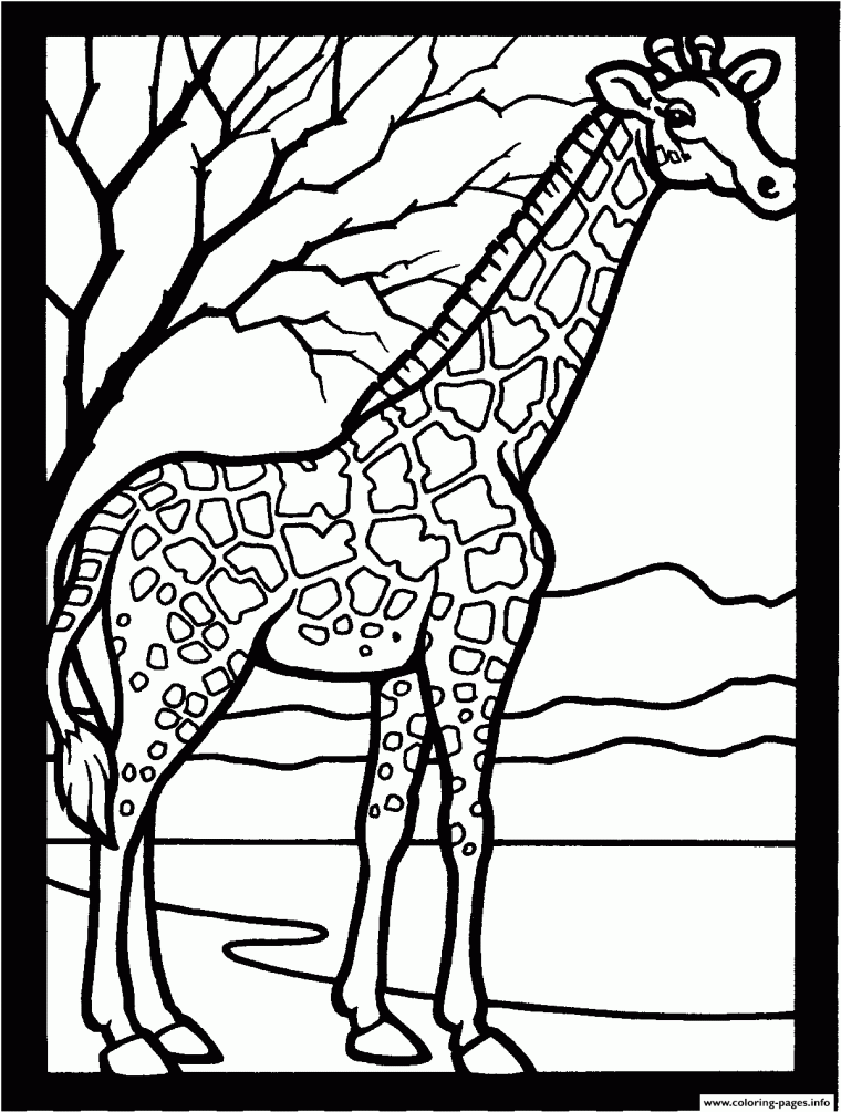 african animal coloring pages african animal coloring pages