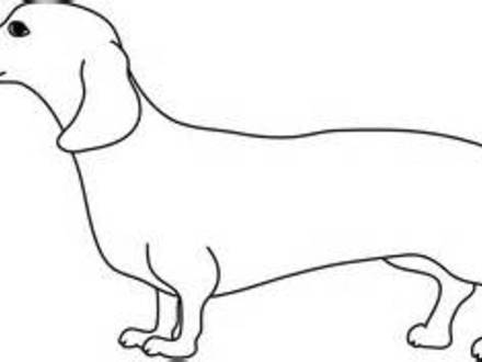 wiener dog coloring pages