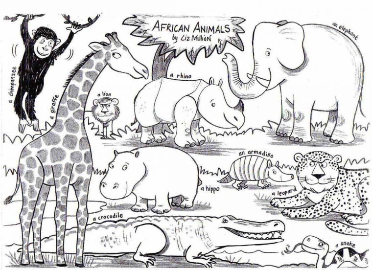 african safari coloring pages african safari coloring pages