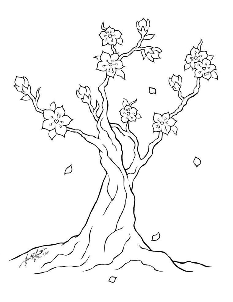 cherry blossom tree coloring page cherry blossom tree coloring page