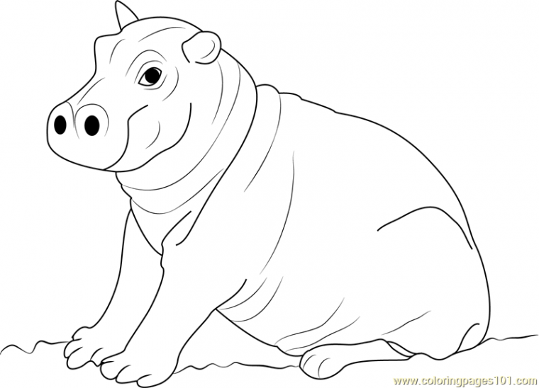 cute hippo coloring pages cute hippo coloring pages