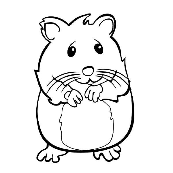 hamster printable coloring pages hamster printable coloring pages