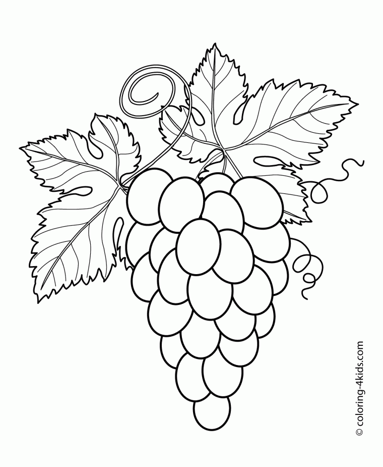 grape coloring pages