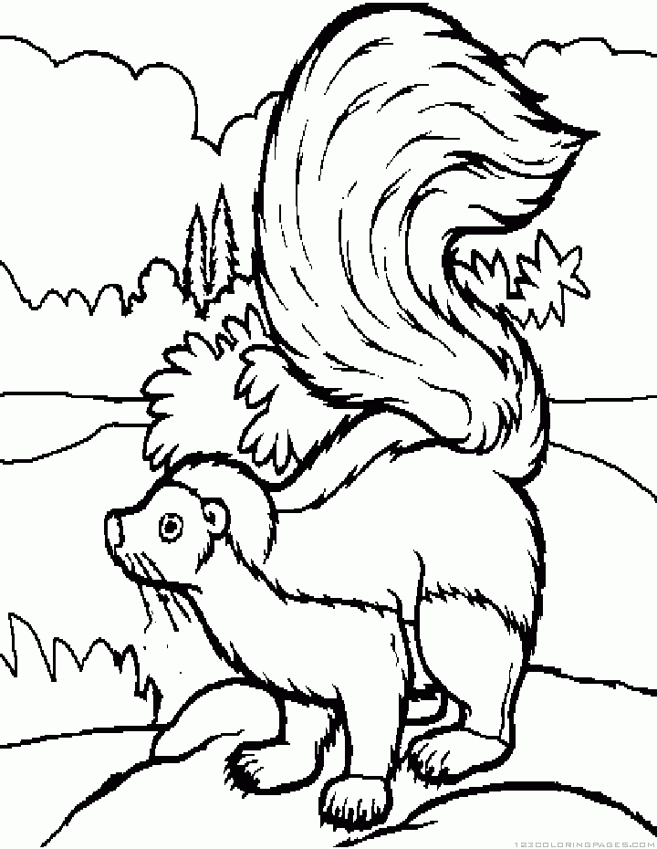 skunk coloring pages skunk coloring pages