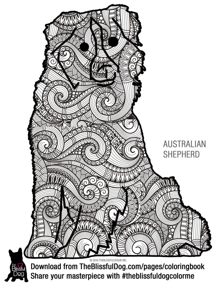 australian shepherd coloring pages