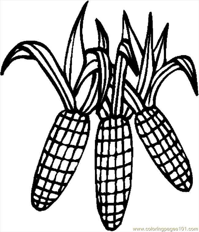 corn stalk coloring page