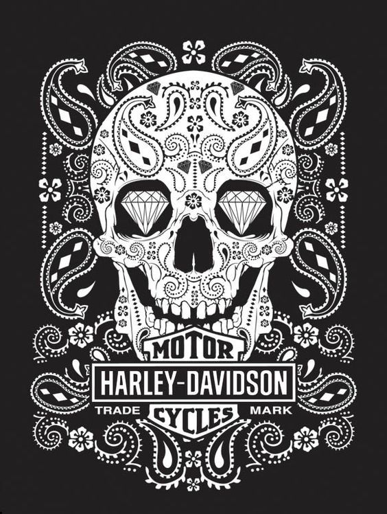 skull harley davidson coloring pages
