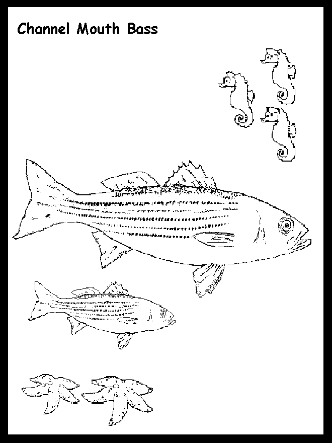 largemouth bass coloring page