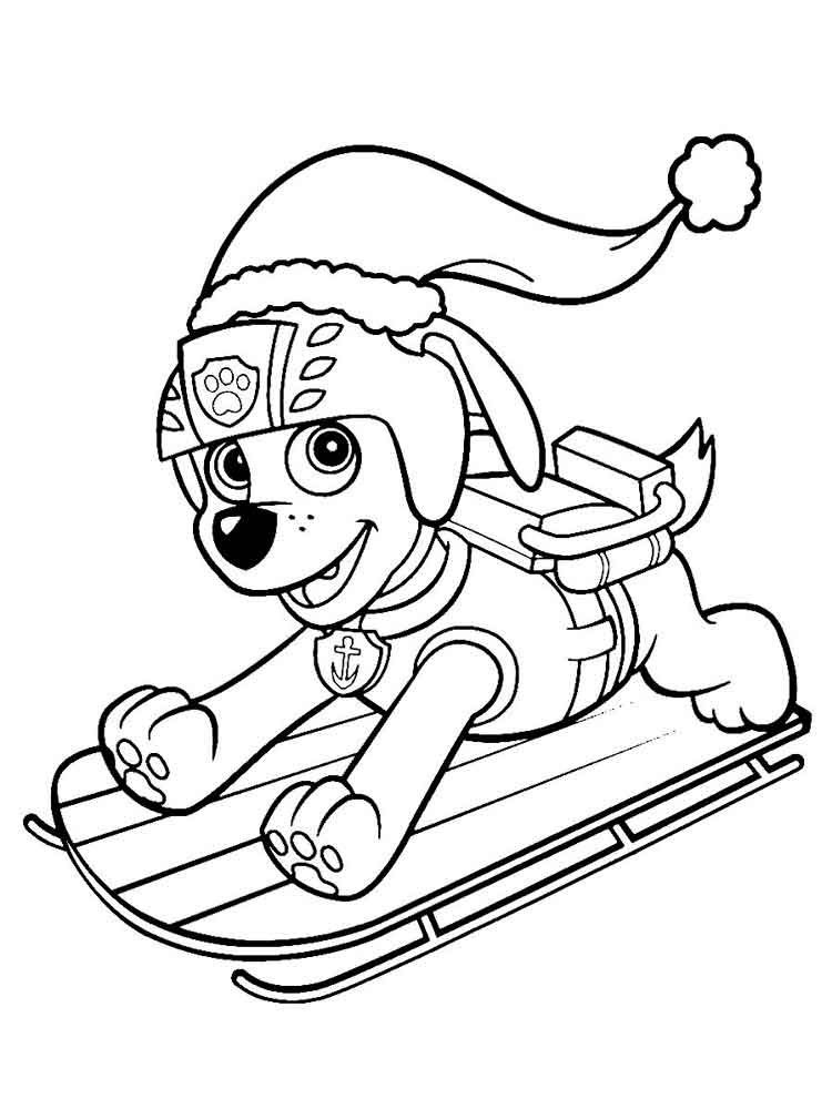 zuma coloring page paw patrol zuma coloring page paw patrol