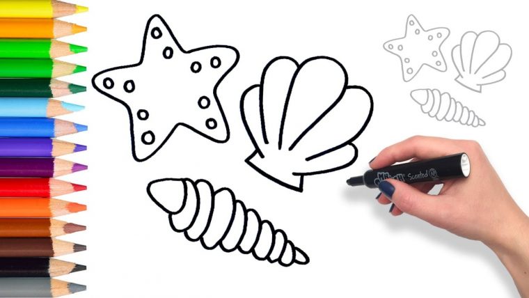 easy seashell coloring page