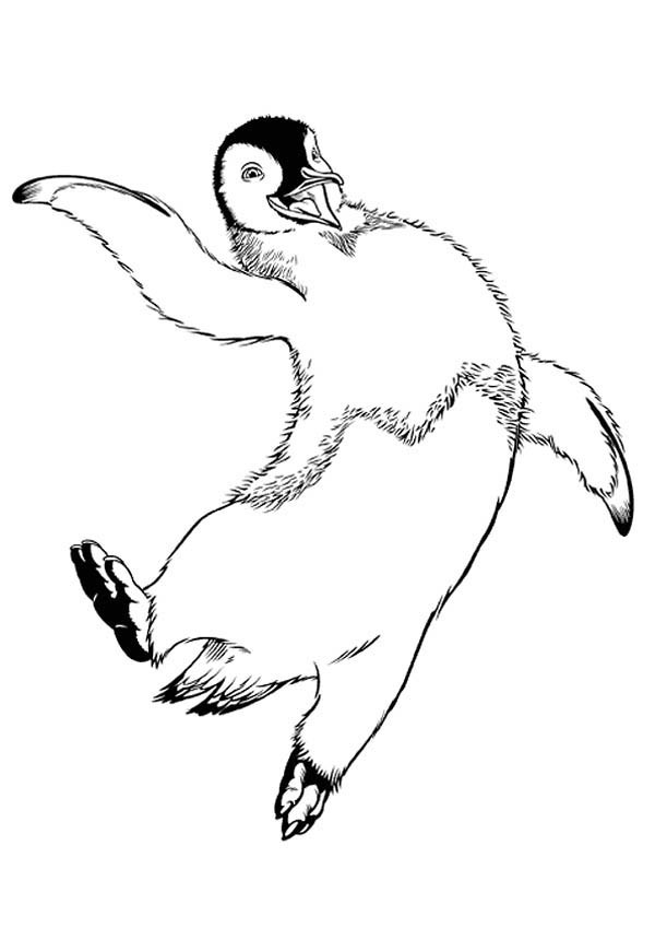 happy feet coloring pages happy feet coloring pages