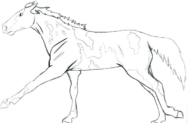 breyer horse coloring pages