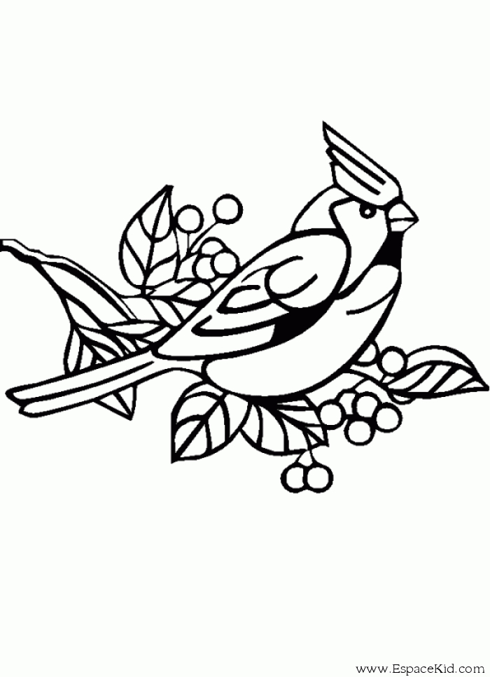 119 Dessins De Coloriage Oiseau À Imprimer Sur Laguerche concernant Imprimer Des Coloriages